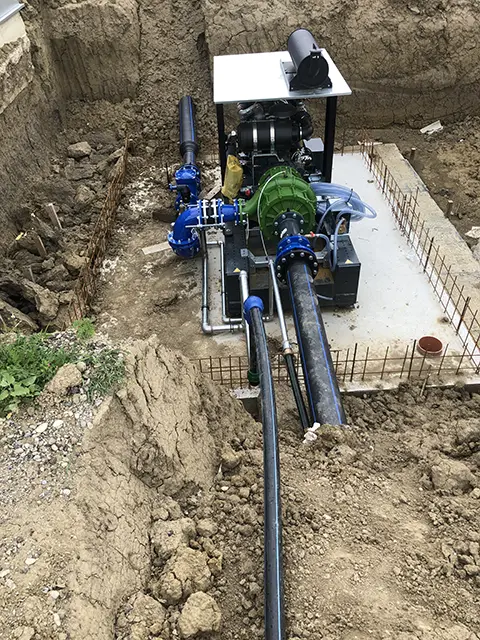 RUŽIĆ-ANTIFROST (2)